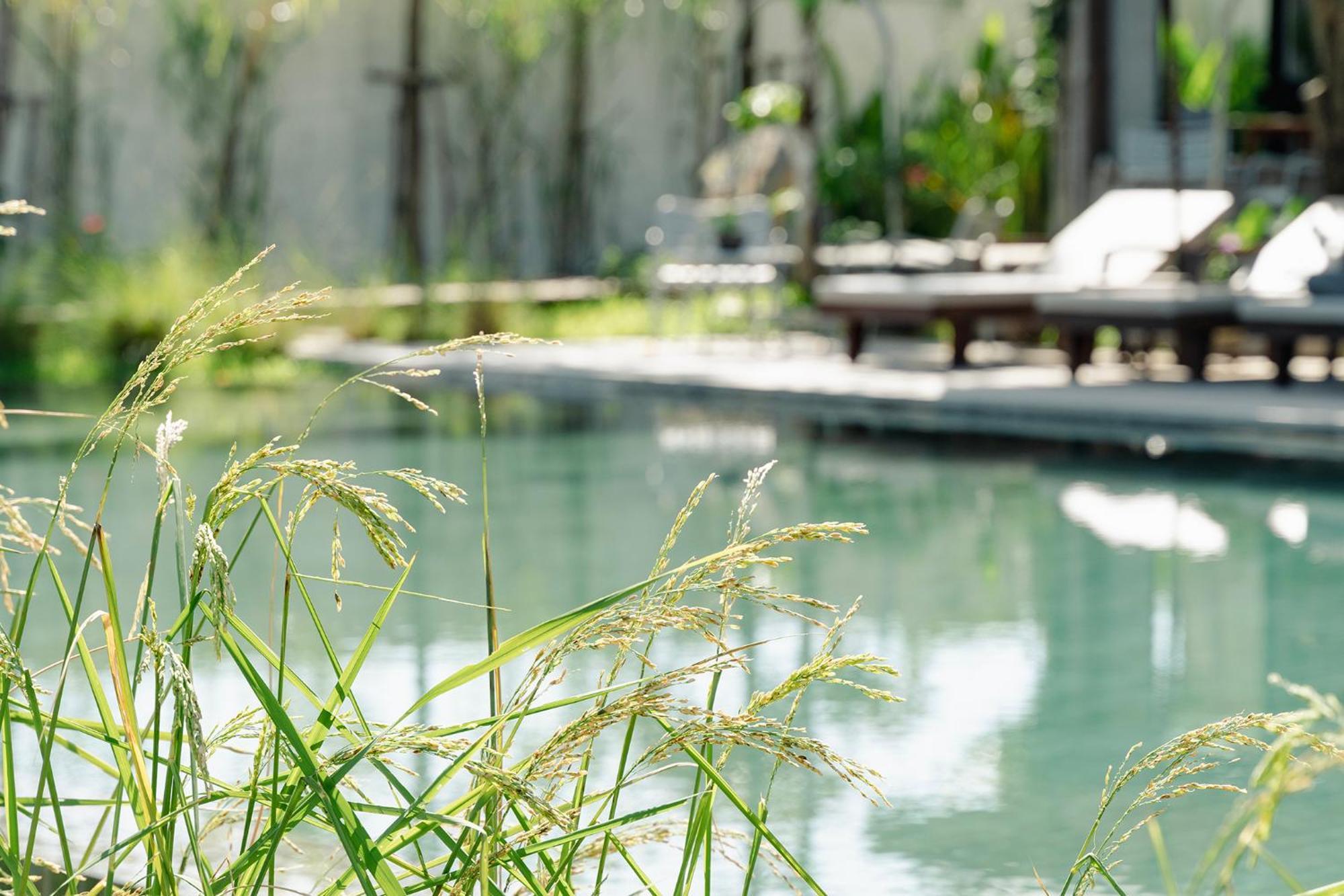 Le Chanthou Boutique Siem Reap Buitenkant foto